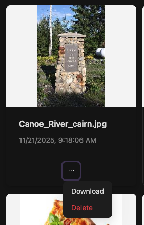 Delete or download selected images Delete or download selected images