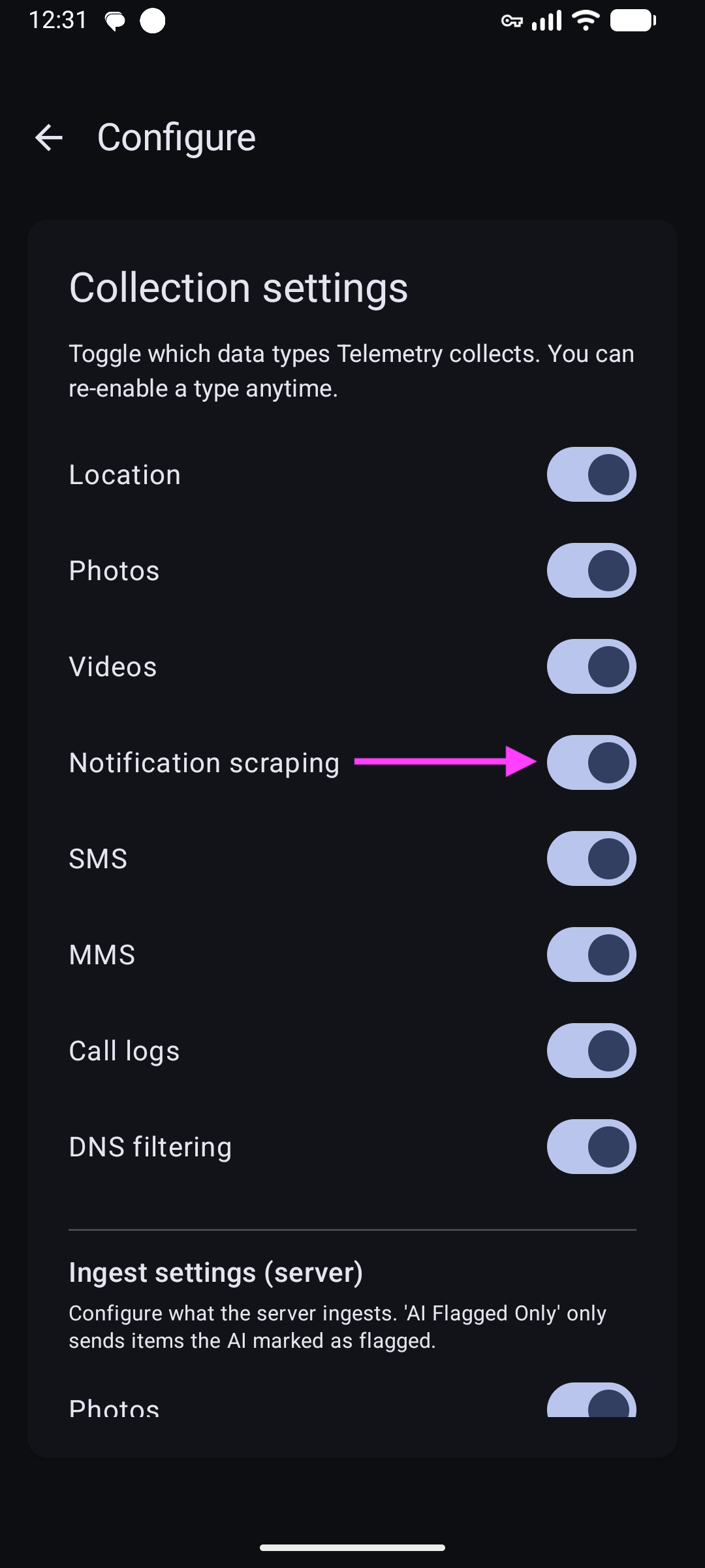 dns enable dns enable